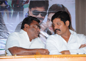 Mr Rowdy Movie Audio Launch Photos  photo 33