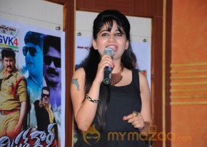 Mr Rowdy Movie Audio Launch Photos  photo 20