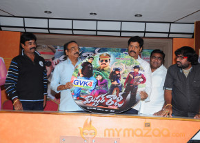 Mr Rowdy Movie Audio Launch Photos  photo 9