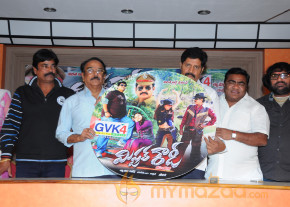 Mr Rowdy Movie Audio Launch Photos  photo 25