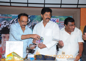 Mr Rowdy Movie Audio Launch Photos  photo 14