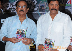 Mr Rowdy Movie Audio Launch Photos  photo 37