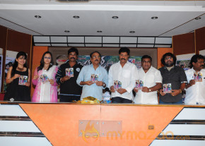 Mr Rowdy Movie Audio Launch Photos  photo 26