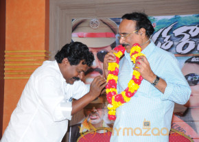 Mr Rowdy Movie Audio Launch Photos  photo 27