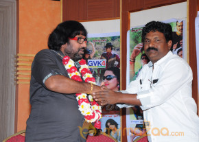 Mr Rowdy Movie Audio Launch Photos  photo 35