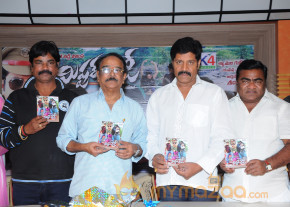 Mr Rowdy Movie Audio Launch Photos  photo 13
