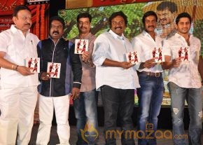 Mr.Pellikoduku Audio Launch Photos photo 9