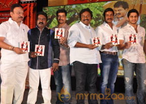Mr.Pellikoduku Movie Audio Launch Gallery  photo 41