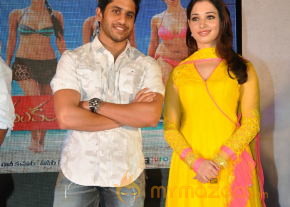 Mr.Pellikoduku Movie Audio Launch Gallery  photo 72