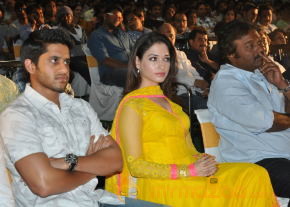Mr.Pellikoduku Movie Audio Launch Gallery  photo 61