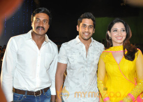 Mr.Pellikoduku Movie Audio Launch Gallery  photo 14