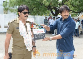 Naatukodi Movie Opening Photos photo 56