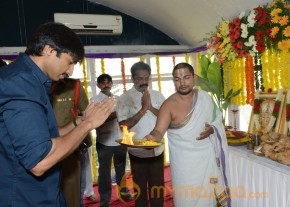 Naatukodi Movie Opening Photos photo 38