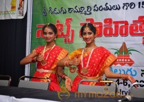NATS Sambaralu 2013 Photos photo 40