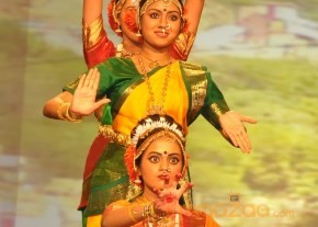 NATS Sambaralu 2013 Photos photo 3