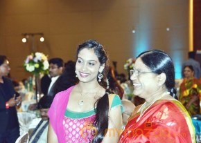 NATS Sambaralu 2013 Photos photo 41