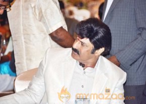 NATS Sambaralu 2013 Photos photo 35
