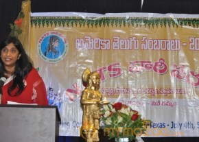 NATS Sambaralu 2013 Photos photo 61