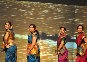 NATS Sambaralu 2013 Photos photo 54