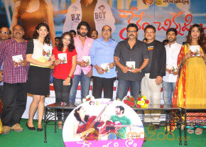 Nenem Chinna Pillana Movie Audio launch photo 28