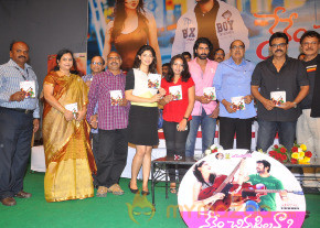 Nenem Chinna Pillana Movie Audio launch photo 8
