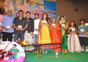 Nenem Chinna Pillana Movie Audio launch photo 12