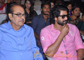 Nenem Chinna Pillana Movie Audio launch photo 17