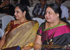 Nenem Chinna Pillana Movie Audio launch photo 6