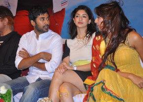 Nenem Chinna Pillana Movie Audio launch photo 73