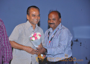 Nenem Chinna Pillana Movie Audio launch photo 2