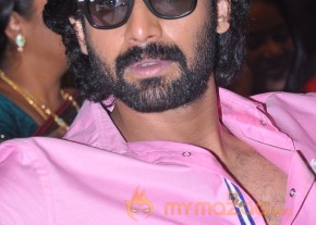 Nenem Chinna Pillana Movie Audio launch photo 27