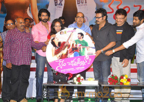 Nenem Chinna Pillana Movie Audio launch photo 21