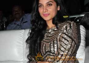 Nenu Sailaja Movie Audio Launch photo 3