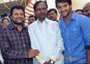 NTR at Aadi NewMovie Launch Photos