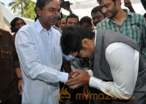 NTR at Aadi NewMovie Launch Photos photo 4