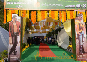NTR New Movie Opening Photo Gallery photo 4