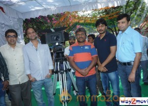 Nuvvala Nenila Movie Launch  photo 6