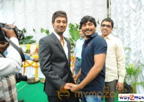 Nuvvala Nenila Movie Launch  photo 33