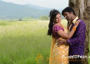 Oke Oka Chance Movie Latest Stills photo 20