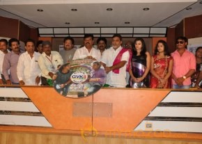 Okkasari Premiste Movie Audio Launch Photos photo 17