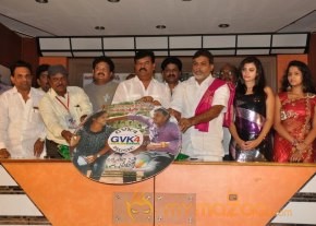 Okkasari Premiste Movie Audio Launch Photos photo 29