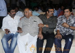 Ongole Githa Movie Audio Launch Gallery  photo 25