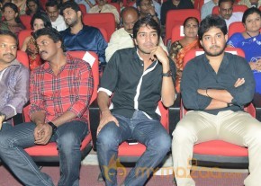 Paisa Movie Audio Launch Photos photo 16