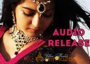 Paisa Movie Audio Release Photos photo 7