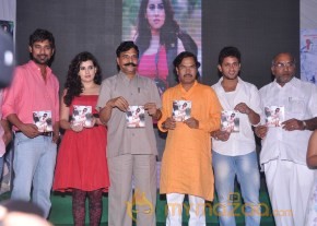 Panchami Movie Audio Launch Photos photo 39