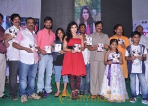 Panchami Movie Audio Launch Photos photo 74