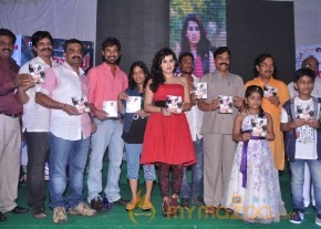 Panchami Movie Audio Launch Photos photo 49