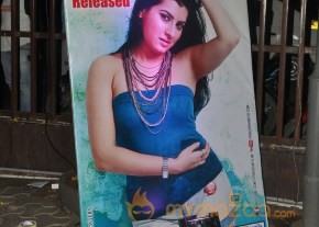 Panchami Movie Audio Launch Photos photo 44