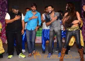 Pandaga Chesko Movie Audio Launch photo 4