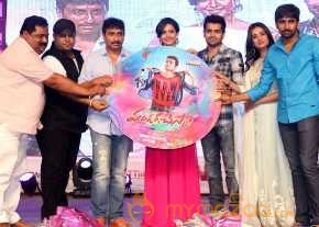 Pandaga Chesko Movie Audio Launch photo 3